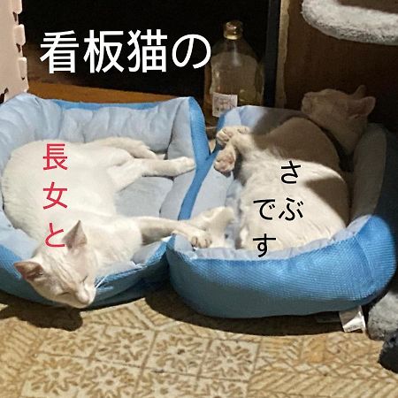 Guest House Salt Beach Yokkaichi Exterior photo